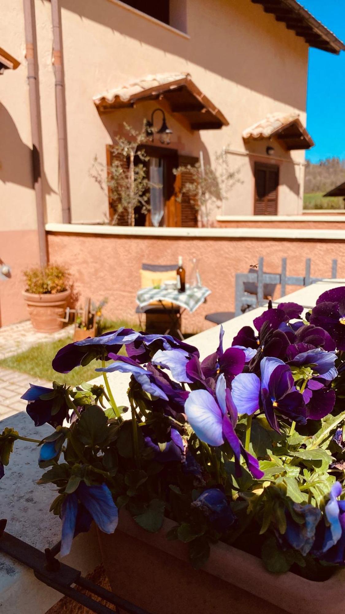 Selvicolle Country House Crispiero Bagian luar foto